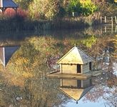 Large Indian Runner Floating Duck House, waterfowl raft, pontoon for pond from Buttercup Farm