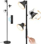 Floor Lamp With Adjustable