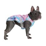 Spark Paws Chilltech™ Dog Cooling Vest - Cooling effect - Lightweight materials - SPF 50 UV protection - Snowcone, M