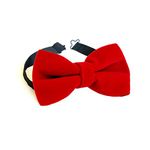 DealFry Men's Regular Shape Pre-Tied Velvet Bow Tie with Adjustable Length (Red)