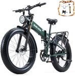 Dual Motor 2000W/1000W Electric Bik