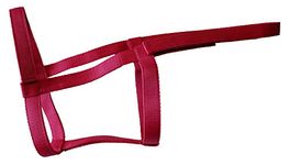 Rhinegold Field Safe Headcollar-Full-Raspberry