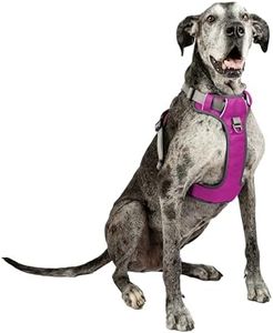 Embark Adventure XL Dog Harness No-Pull Dog Harnesses for Extra Large, Medium and Small Dogs. 2 Leash Clips, Front & Back with Control Handle, Adjustable Pink Dog Vest, Soft & Padded for Comfort