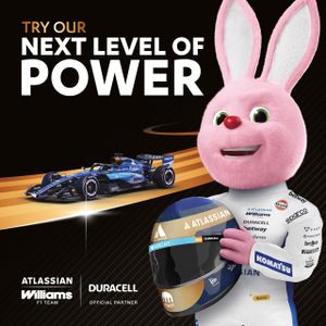 Duracell Optimum AA Batteries 12-Pack – Long-Lasting Power