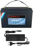 12V 100AH Lifepo4 Battery Deep Cycl