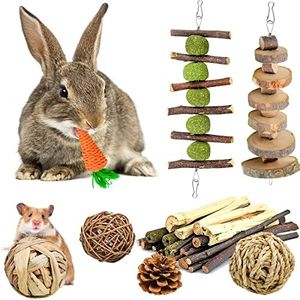 KAONESS Ensemble de Jouets à mâcher pour Lapin, Jouet pour Animal de Compagnie pour Cochon d'Inde Chipmunk Totoro