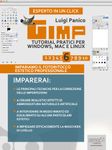 Gimp. Tutorial pratici per Windows, Mac e Linux. Livello 6 (Esperto in un click Vol. 50) (Italian Edition)