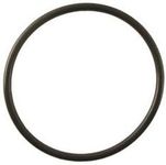 Replacement RO Canister O-Ring by CFS