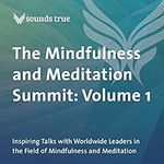 The Mindfulness and Meditation Summ