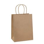 BagDream Gift Bags 8x4.25x10.5 100Pcs Paper Gift Bags Medium Size Brown Paper Bags with Handles Bulk Wedding Party Favor Bags, Kraft Grocery Shopping Bags, Retail Merchandise Bags Gift Sacks