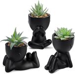 Der Rose 3pcs Fake Succulents Plants Artificial for Black Bathroom Bedroom Home Room Decor Aesthetic Indoor