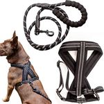 Zenify Pets Dog Harness Leash Set - Chest Vest Cross Adjustable Reflective for Medium Dogs (Black 5ft Medium)…