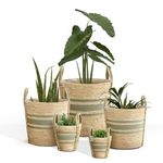 DECOMOMO Plant Basket, 5-Pack Planter Pots for Indoor Plants| Wicker Baskets Storage Organization w/Handle Large Plant Pot for Indoor Plants Pantry Laundry Toys Home Décor (Green Stripes - 5 Sizes)