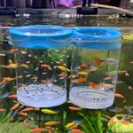 Fish Breeder Box for Fishes Tank Isolation Aquarium Separator Hatchery Incubator for Guppy Baby Betta Saltwater Clownfish Coral Aggressive or Injured Fish (Large Two-Piece Set)