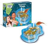 Triops Kit