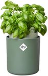 elho Bouncy Basil 16 - Self Watering Plant Pot for indoor - Herb Planter made of 100% recycled plastic - Ø 16.5 x H 21.0 cm - Green/Leaf Green