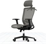 FLEXISPOT OC3 Ergonomic Office Chair Desk Chair Computer Chair Height Adjustable Seat Headrest Armrest Lumbar Support Caster Wheels Task Chair (Gray)