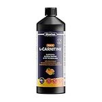 Maxion L-Carnitine 1500mg with Vitamin B5 to Aid in Muscle Recovery After Exercise, Orange Flavour, 450 mL (1)