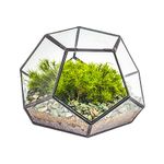 Open Air Terrarium