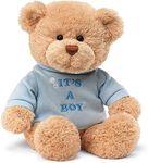 GUND 15418 It's a Boy Message BearStuffed Plush Toy, 30 x 20 x 23cm, Tan