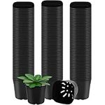 BELLE VOUS 150 Pack Square Plastic Plant Nursery Pots - 6.5 x 6.5 x 6.2cm / 2.5 x 2.5 x 2.4 inches - Durable Flower/Seedling Containers for Succulents, Vegetables, Gardens/Indoors and Seed Starting