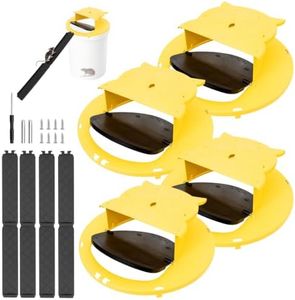 Mouse Trap