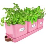 Green Thumbz Herb Pots for Kitchen Windowsill - Set of 3 Pink Herb Planter Indoor with Leather Handled Tray - Ideal for an Indoor Herb Garden, Plants and Flowers - Labels Included