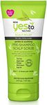 Yes To Tea Tree Pre Shampoo Scalp Scrub, 6 Fl Oz - Gently Exfoliates Itchy Scalp, Removes Build Up, With Witch Hazel, Apple Cider Vinegar & Sage Oil, Natural & Cruelty Free