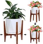 HmiL-U Plant Stand Modern Design | 