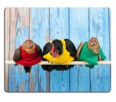 Natural Rubber Gaming Mousepad IMAGE ID 26614297 Row chickens with colorful sweaters in blue henhouse on stick