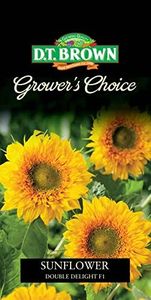 DT Brown Grower's Choice Double Delight F1 Sunflower Seeds