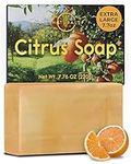 O Naturals Exfoliating Soap Bar - Citrus Exfoliating Bar Soap, All Natural Face Soap, Mens Soap Bar Soap For Men - Soap for Men Face Soap Bar Mens Bar Soap with Apricot Kernels Moisturizing Men Soap