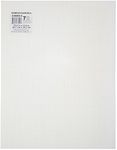 Darice Plastic Canvas White, 10.5 x 13.5 Inch