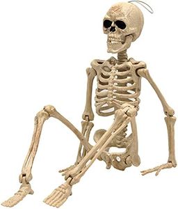 e Crafty 16" Halloween Skeleton,Full Body Skeleton with Posable Movable Joints for Haunted House Props Decorations