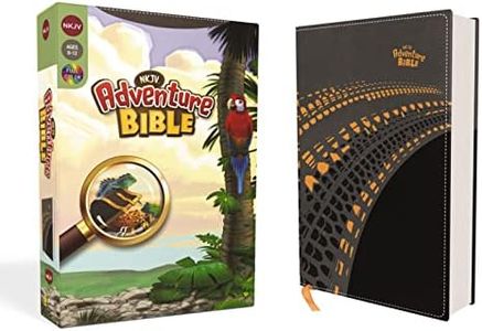 NKJV, Adventure Bible, Leathersoft, Gray, Full Color