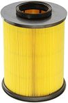 FRAM Extra Guard CA11114 Replacement Engine Air Filter for Select Acura TSX and Honda Accord (2.4L), Provides Up to 12 Months or 12,000 Miles Filter Protection