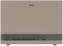 Rinnai EX38DTP Direct Vent Wall Fur