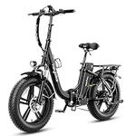 Heybike Ranger Electric Bike for Ad
