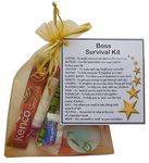 SMILE GIFTS UK Boss Survival Kit Gift (New job, work gift, Secret santa gift for the boss)