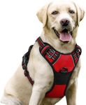 rabbitgoo Dog Harness, No-Pull Pet 