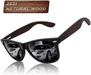 Wood Sunglasses for Men 55MM Polari