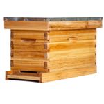 BeeCastle 5 Frame Bee Hive Nuc Box Coated with 100% Beeswax Includes Beehive Frames and Waxed Foundations