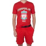 Liverpool FC Official Football Gift Mens Loungewear Short Pyjamas Medium