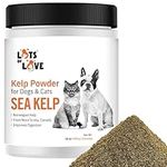 Kelp Powder for Dog & Cat - Organic