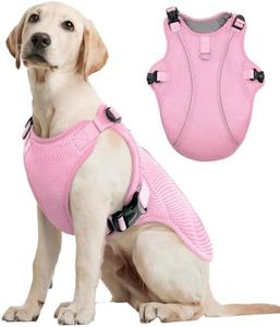 Kuoser Dog
