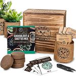 Cactus Succulent Seed Starter Kit - Indoor Garden Grow Kits, Seeds for Planting Mini Cactus Succulent Plants, Plant Markers, Soil, Pots, Wood Box - Fathers Day Gardening Gifts