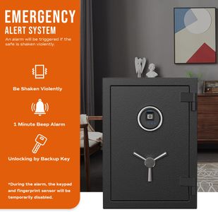 RPNB 60L Biometric Fireproof Safe – Gray Security Lock Box