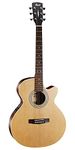 Cort Acoustic Guitar