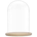 Belle Vous Glass Dome Cloche Bell Jar with Wooden Base - 31.5cm / 12.40 Inches Tall - Clear Decorative Tabletop Display Case with Tray for Fairy Lights, Centrepieces and Antiques