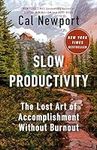Slow Productivity: The Lost Art of 
